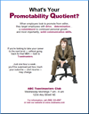 What is Your Promotability Quotent?